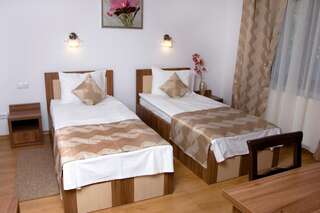 Гостевой дом Pensiunea Transilvania Сибиу Двухместный номер с 2 отдельными кроватями-4