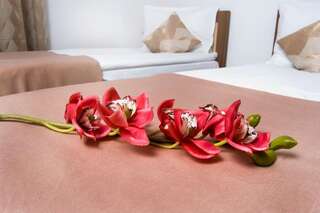 Гостевой дом Pensiunea Transilvania Сибиу Двухместный номер с 2 отдельными кроватями-7