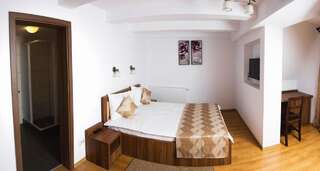 Гостевой дом Pensiunea Transilvania Сибиу Двухместный номер с 1 кроватью-6