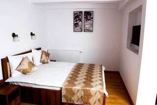 Гостевой дом Pensiunea Transilvania Сибиу Двухместный номер с 1 кроватью-7