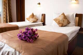 Гостевой дом Pensiunea Transilvania Сибиу Двухместный номер с 2 отдельными кроватями-9