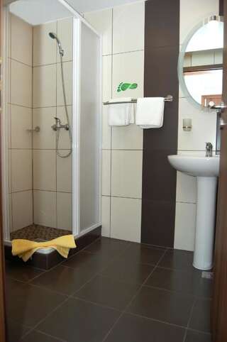 Гостевой дом Pensiunea Transilvania Сибиу Двухместный номер с 2 отдельными кроватями-10