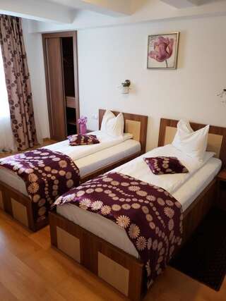 Гостевой дом Pensiunea Transilvania Сибиу Двухместный номер с 2 отдельными кроватями-1