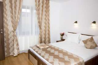 Гостевой дом Pensiunea Transilvania Сибиу Двухместный номер с 1 кроватью-12