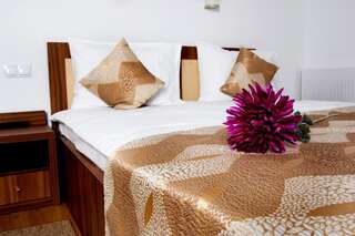 Гостевой дом Pensiunea Transilvania Сибиу Двухместный номер с 1 кроватью-13