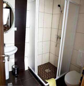 Гостевой дом Pensiunea Transilvania Сибиу Двухместный номер с 1 кроватью-16