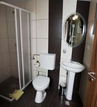 Гостевой дом Pensiunea Transilvania Сибиу Двухместный номер с 1 кроватью-17