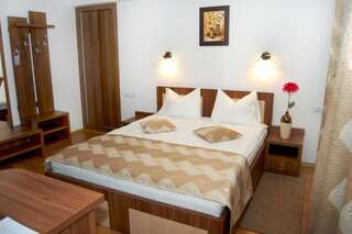 Гостевой дом Pensiunea Transilvania Сибиу Двухместный номер с 1 кроватью-2