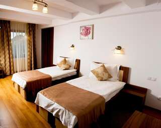 Гостевой дом Pensiunea Transilvania Сибиу Двухместный номер с 2 отдельными кроватями-2