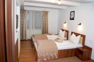 Гостевой дом Pensiunea Transilvania Сибиу Двухместный номер с 2 отдельными кроватями-3