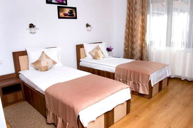 Гостевой дом Pensiunea Transilvania Сибиу-13