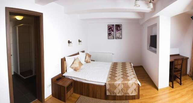 Гостевой дом Pensiunea Transilvania Сибиу-35